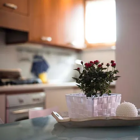 Luce קוליקו